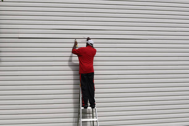 Best Aluminum Siding Installation  in Wray, CO