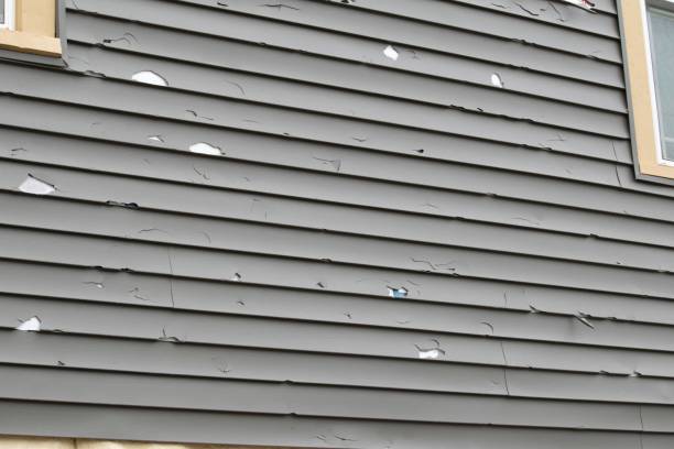 Best Insulated Siding Installation  in Wray, CO